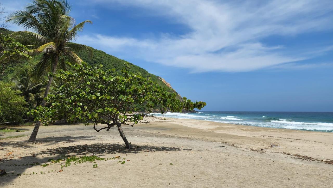 Ecolodge Playa Brava Teyumakke Calabazo  Bagian luar foto