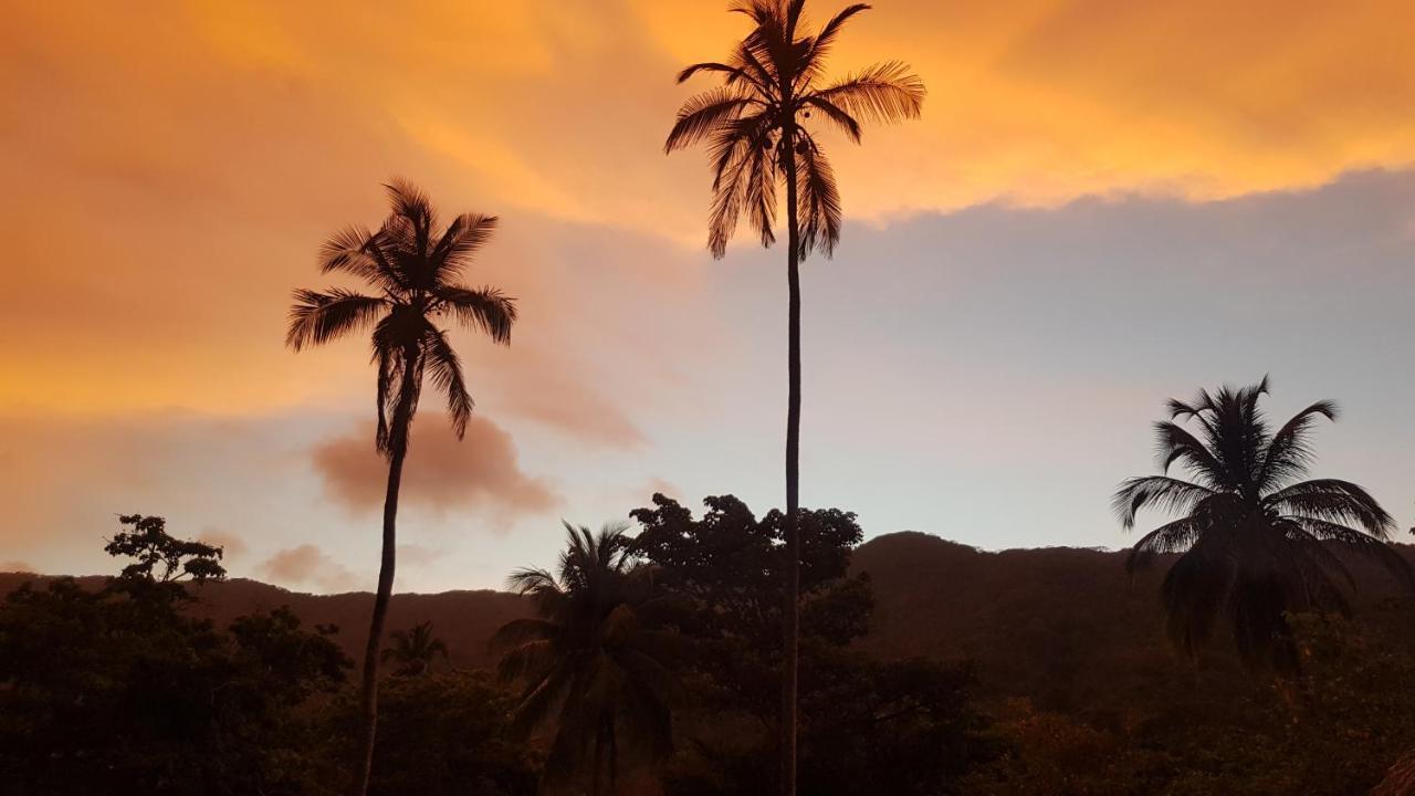 Ecolodge Playa Brava Teyumakke Calabazo  Bagian luar foto