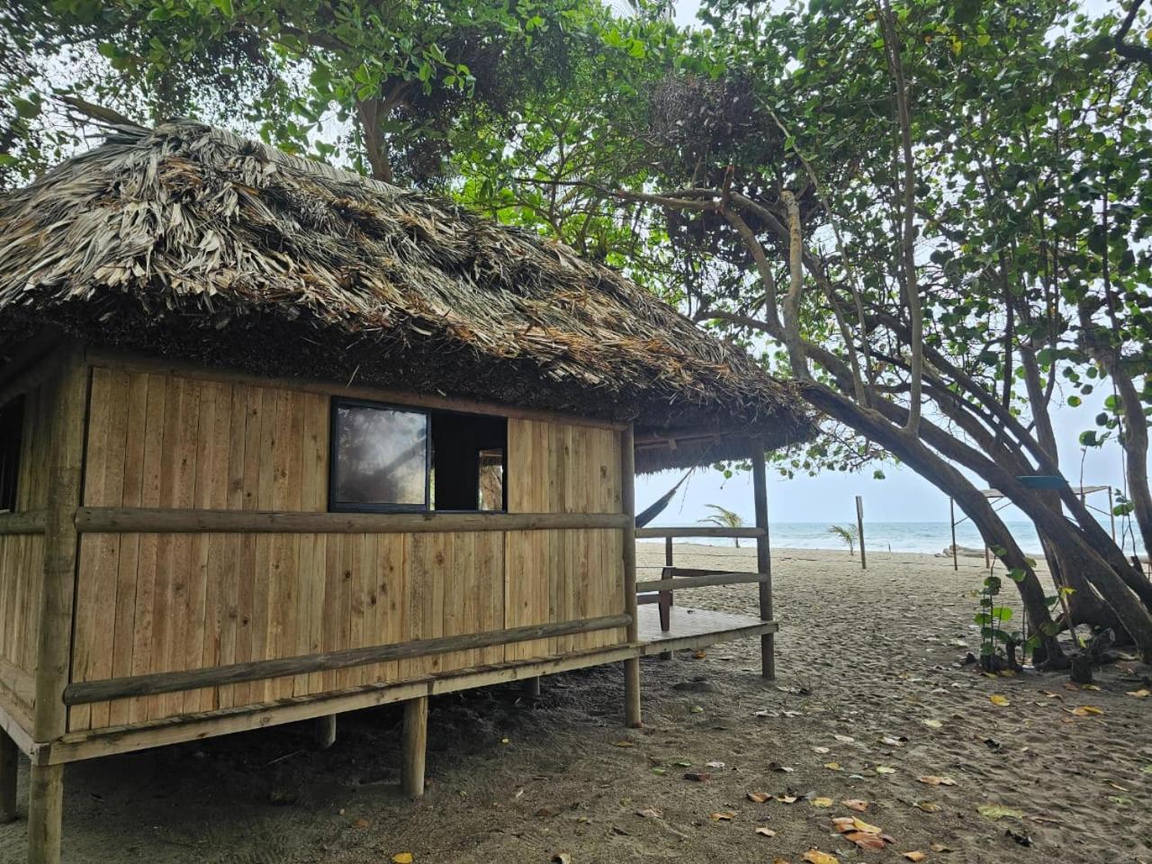 Ecolodge Playa Brava Teyumakke Calabazo  Bagian luar foto